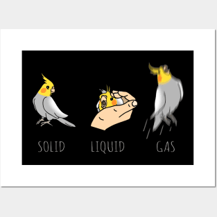 three shapes of the birb Posters and Art